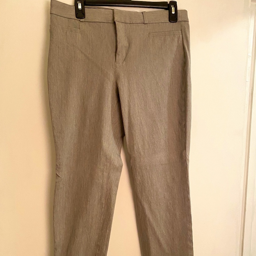 Size 10 Banana Republic Sloan Curvy Pant